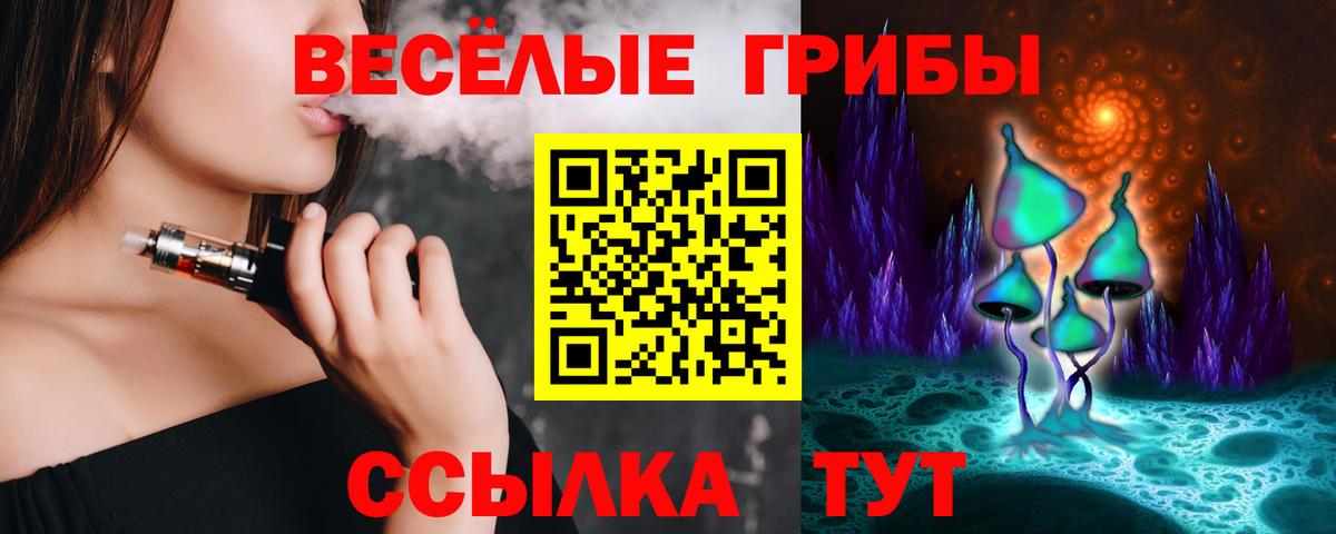 Ступино  наркотики  Вход с VPN  Псилоцибиновые грибы GOLDEN TEACHER  Галлюциногенные грибы Magic Shrooms 